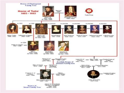 dopo la dinastia tudor|house of tudor timeline.